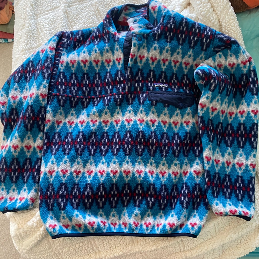Patagonia Synchilla sweatshirt